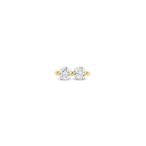 Double Diamond Stud 14k Yellow Gold, Diamond