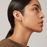 Small Colette Hoop Earrings 14k Gold Plated