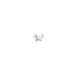 Butterfly Stud 10k White Gold