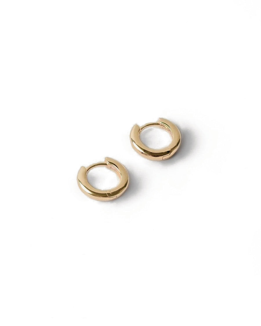 Small Huggie Hoops 14k Gold Plated