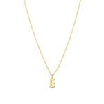 Quiet Icon-Initial Necklace-Necklaces-14k Gold Vermeil-E-Blue Ruby Jewellery-Vancouver Canada