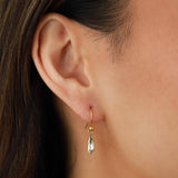 La Vie Parisienne-Marquise Crystal Hooks-Earrings-14k Gold Plated, Shade Crystal-Blue Ruby Jewellery-Vancouver Canada